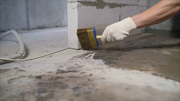SJ Waterproofing Pros Basement Waterproofing coverage map for Davisburg, MI and surrounding area